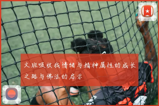 文班吸收我情绪与精神属性的成长之路与佛法的启示