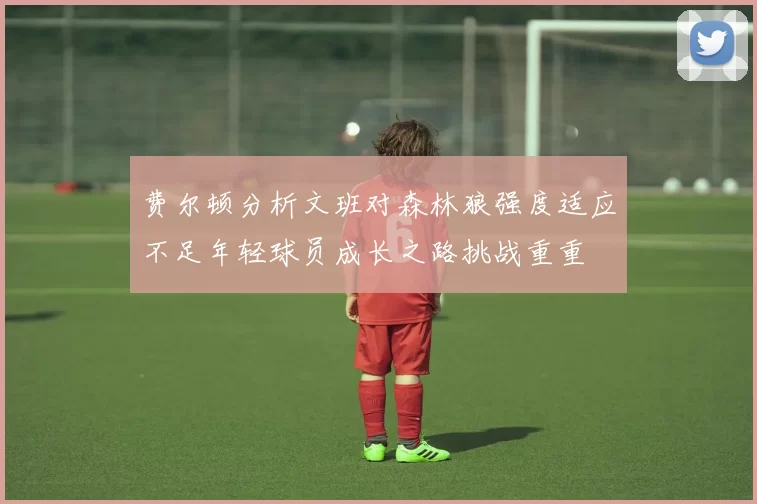 费尔顿分析文班对森林狼强度适应不足年轻球员成长之路挑战重重